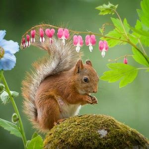 Meet your Posher, Cyd